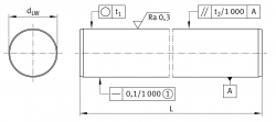 INA W 10x1000 mm H6-CF53 vodící tyč
