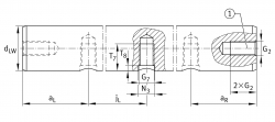 INA W 20x1000 mm H6-X46 nerezová vodící tyč